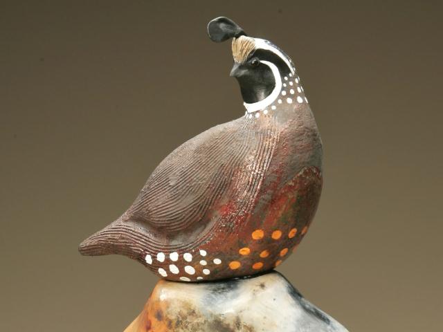 Quail Image